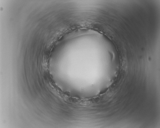 X0000051921298200507152046