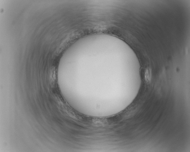 X0000051921299200507152046