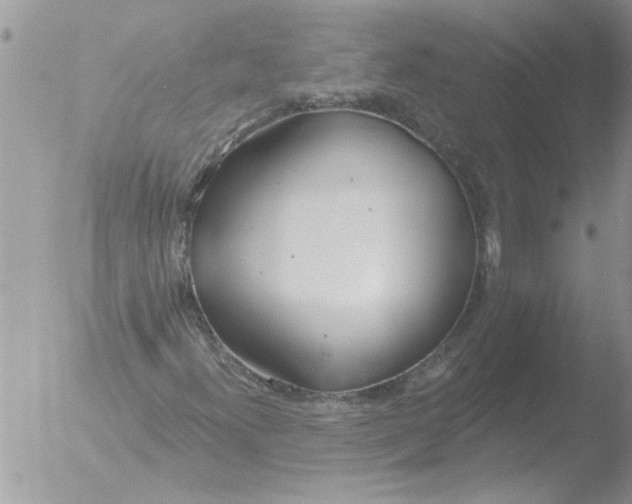 X0000051921300200507152046