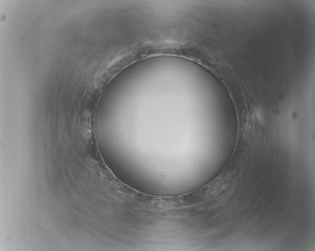 X0000051921301200507152046