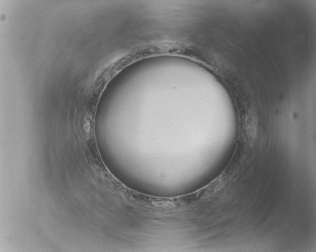 X0000051921302200507152046