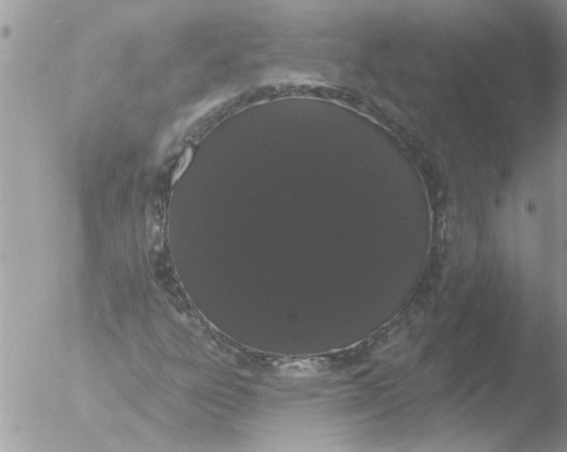 X0000051921303200507152046