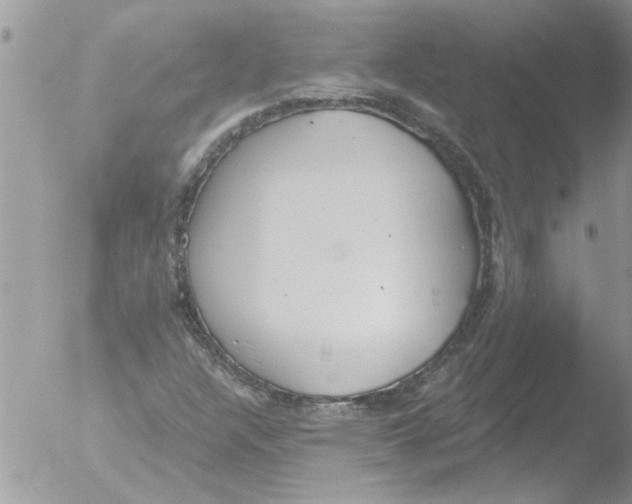 X0000051921304200507152046