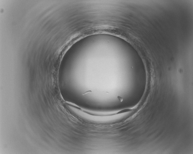 X0000051921305200507152046