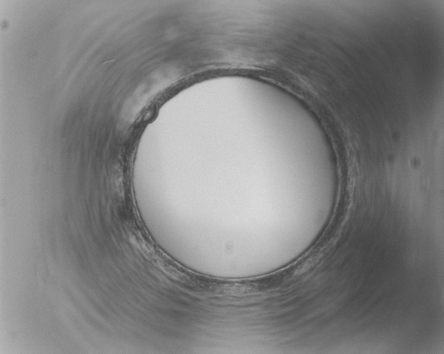 X0000051921307200507152046