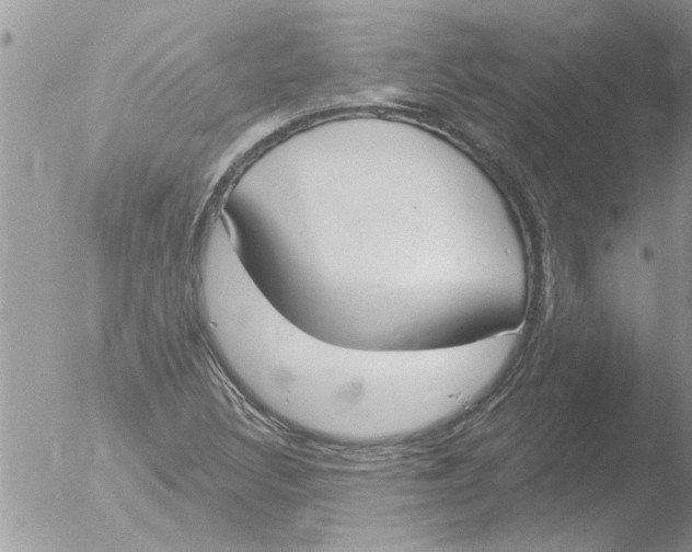 X0000051921308200507152046