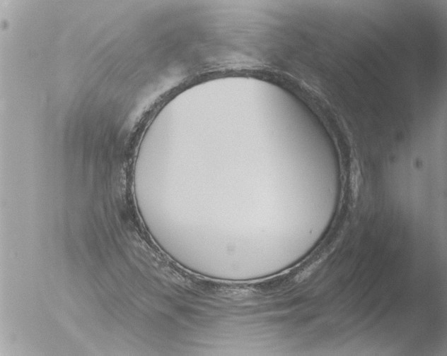 X0000051921309200507152046