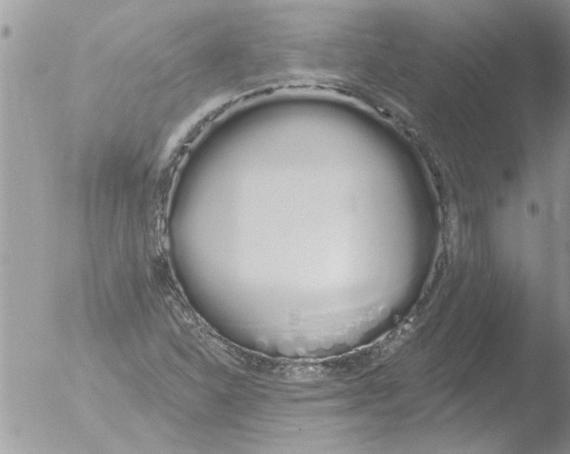 X0000051921310200507152046