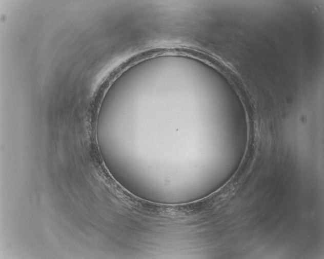 X0000051921311200507152046