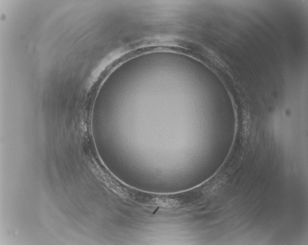 X0000051921312200507152046