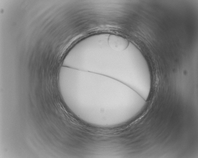 X0000051921313200507152046