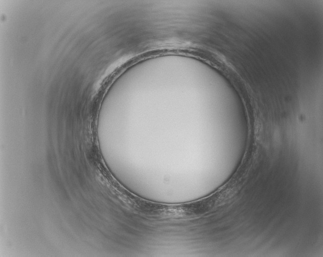 X0000051921315200507152046