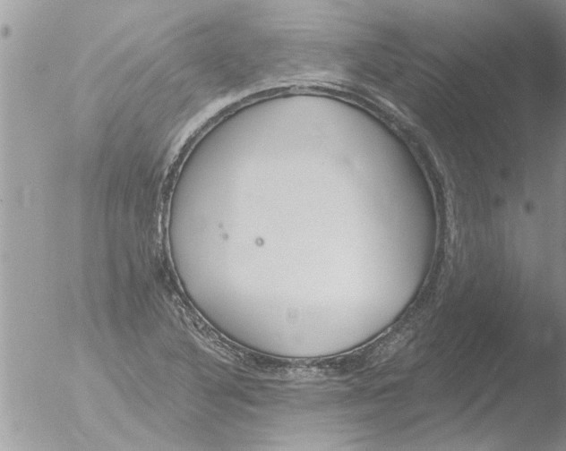 X0000051921316200507152046