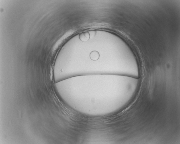 X0000051921317200507152046