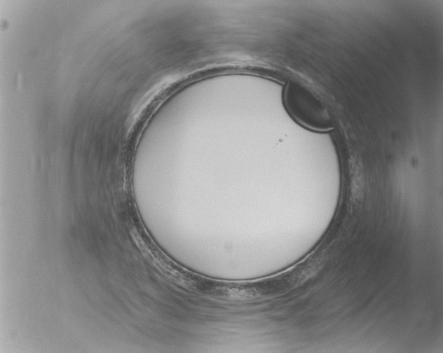 X0000051921318200507152047