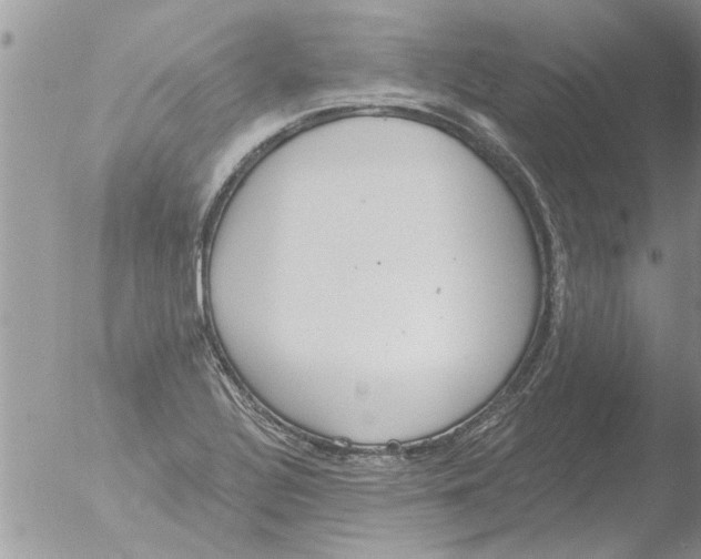 X0000051921320200507152047