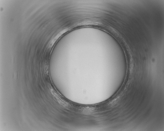 X0000051921321200507152047