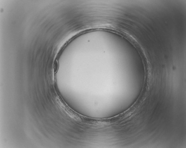 X0000051921324200507152047