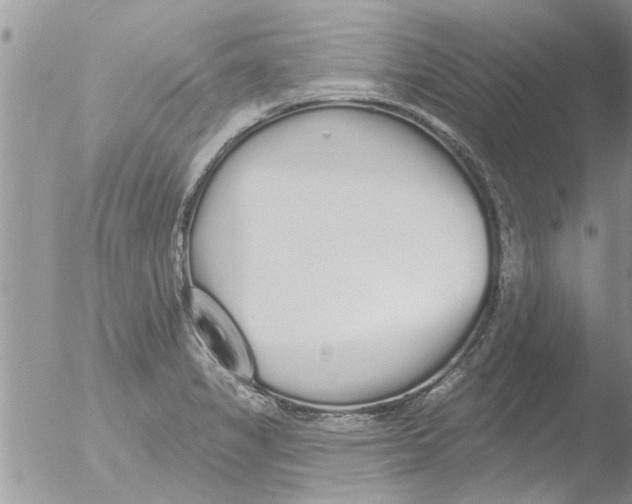 X0000051921325200507152047