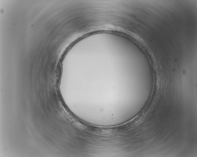 X0000051921326200507152047