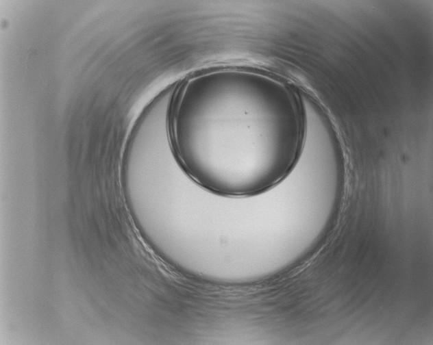 X0000051921328200507152047