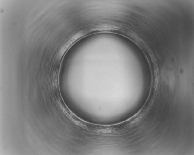 X0000051921329200507152047