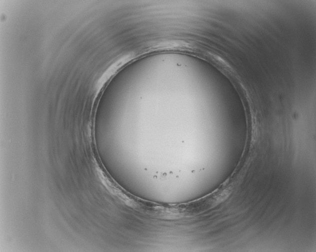 X0000051921330200507152047