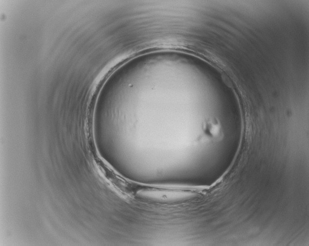 X0000051921331200507152047