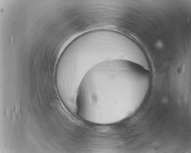 X0000051921332200507152047