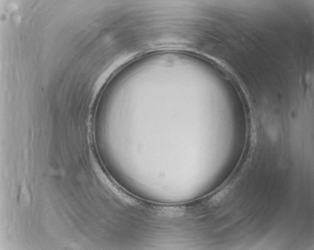 X0000051921333200507152047