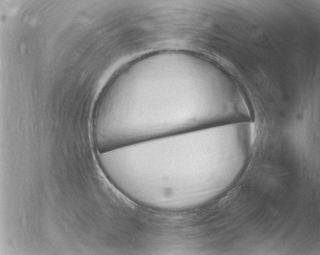 X0000051921334200507152047