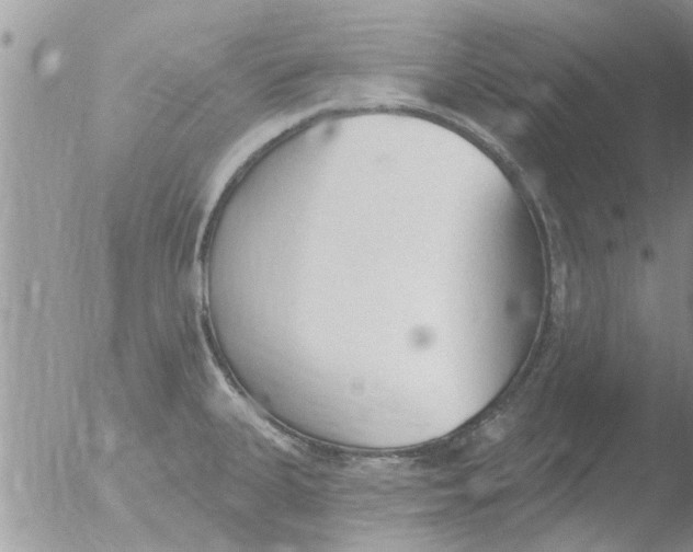 X0000051921335200507152047