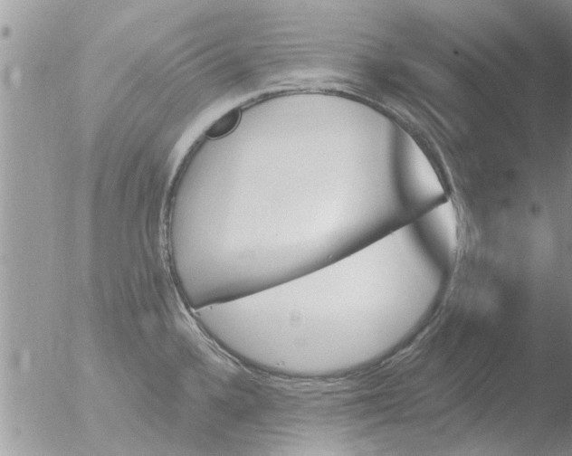 X0000051921336200507152047