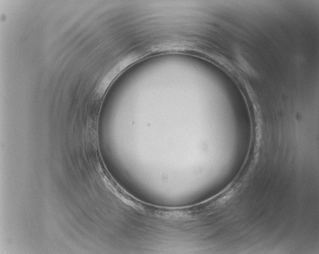 X0000051921337200507152047