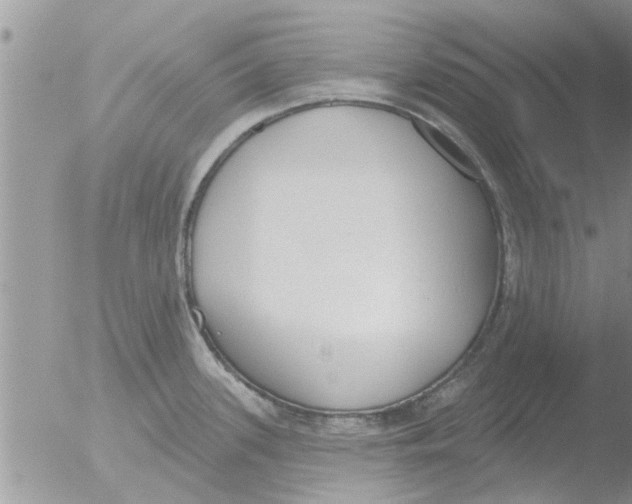 X0000051921339200507152047