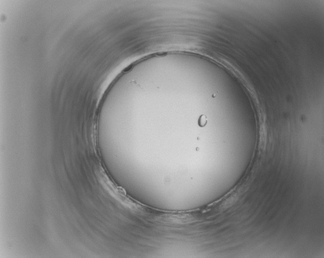 X0000051921340200507152047