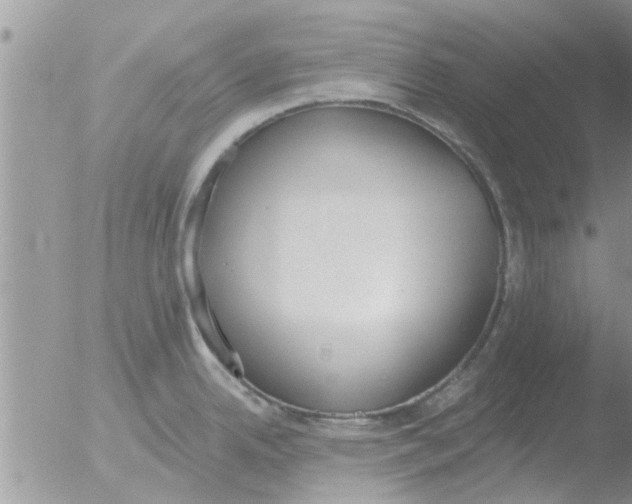 X0000051921342200507152047