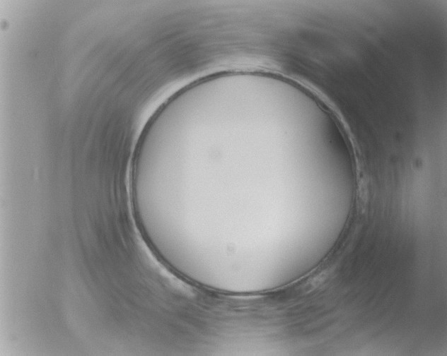 X0000051921343200507152047