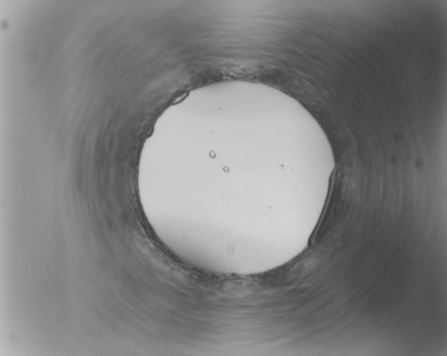 X0000051921345200507152046