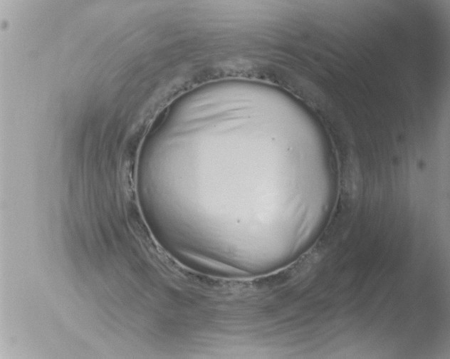 X0000051921346200507152046