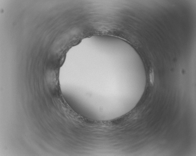 X0000051921347200507152046