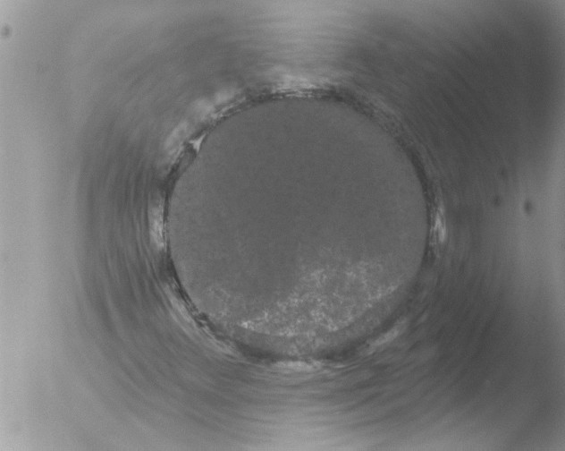 X0000051921348200507152046