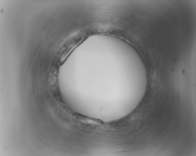 X0000051921349200507152046