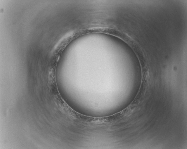 X0000051921351200507152046