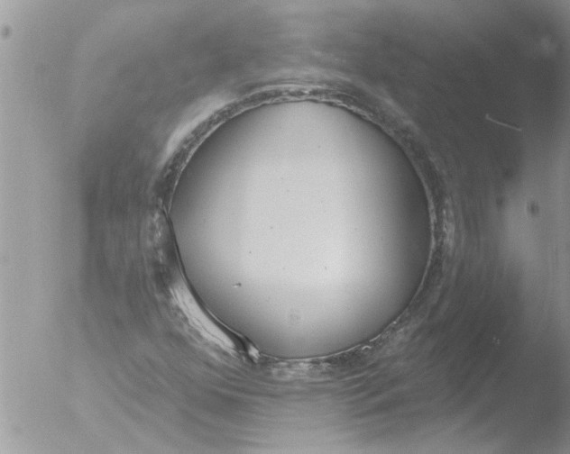 X0000051921352200507152046