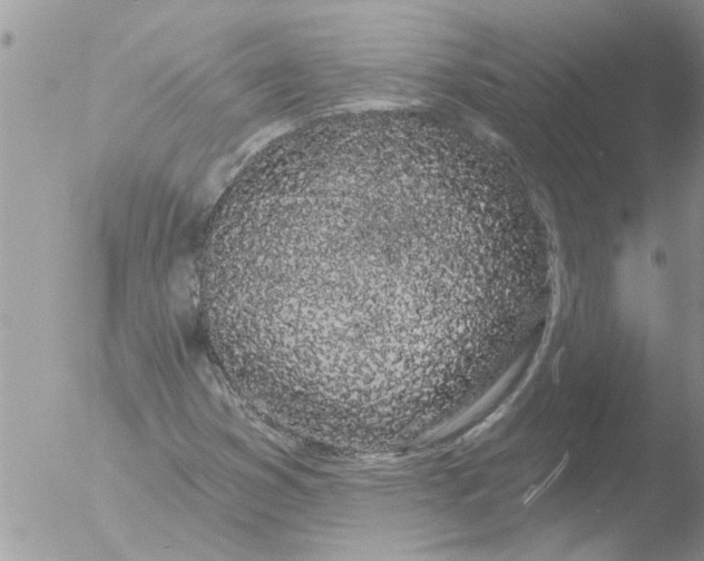 X0000051921353200507152046