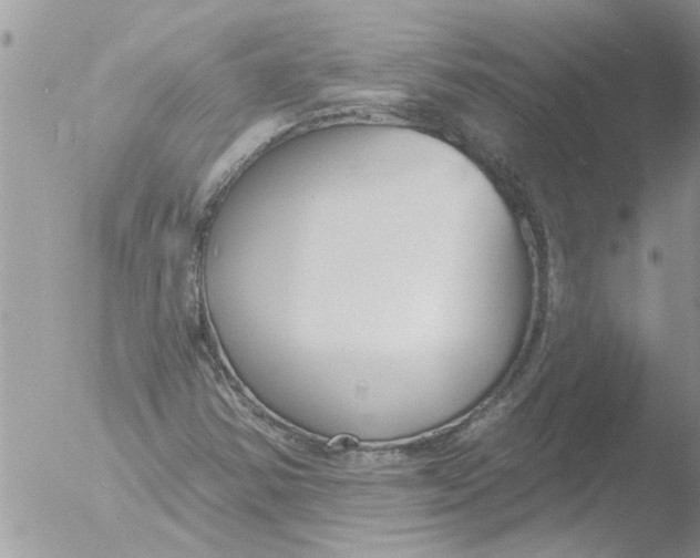 X0000051921354200507152046