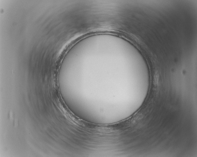 X0000051921356200507152046