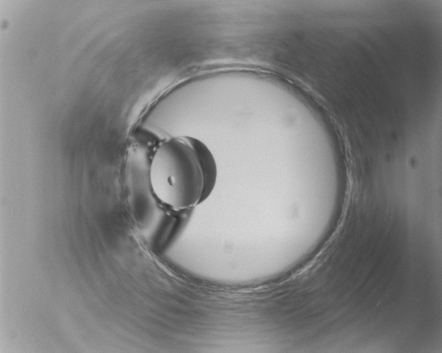 X0000051921357200507152046