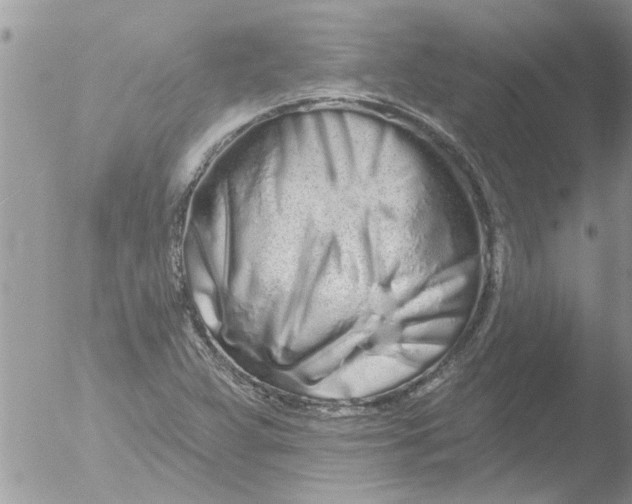 X0000051921359200507152046